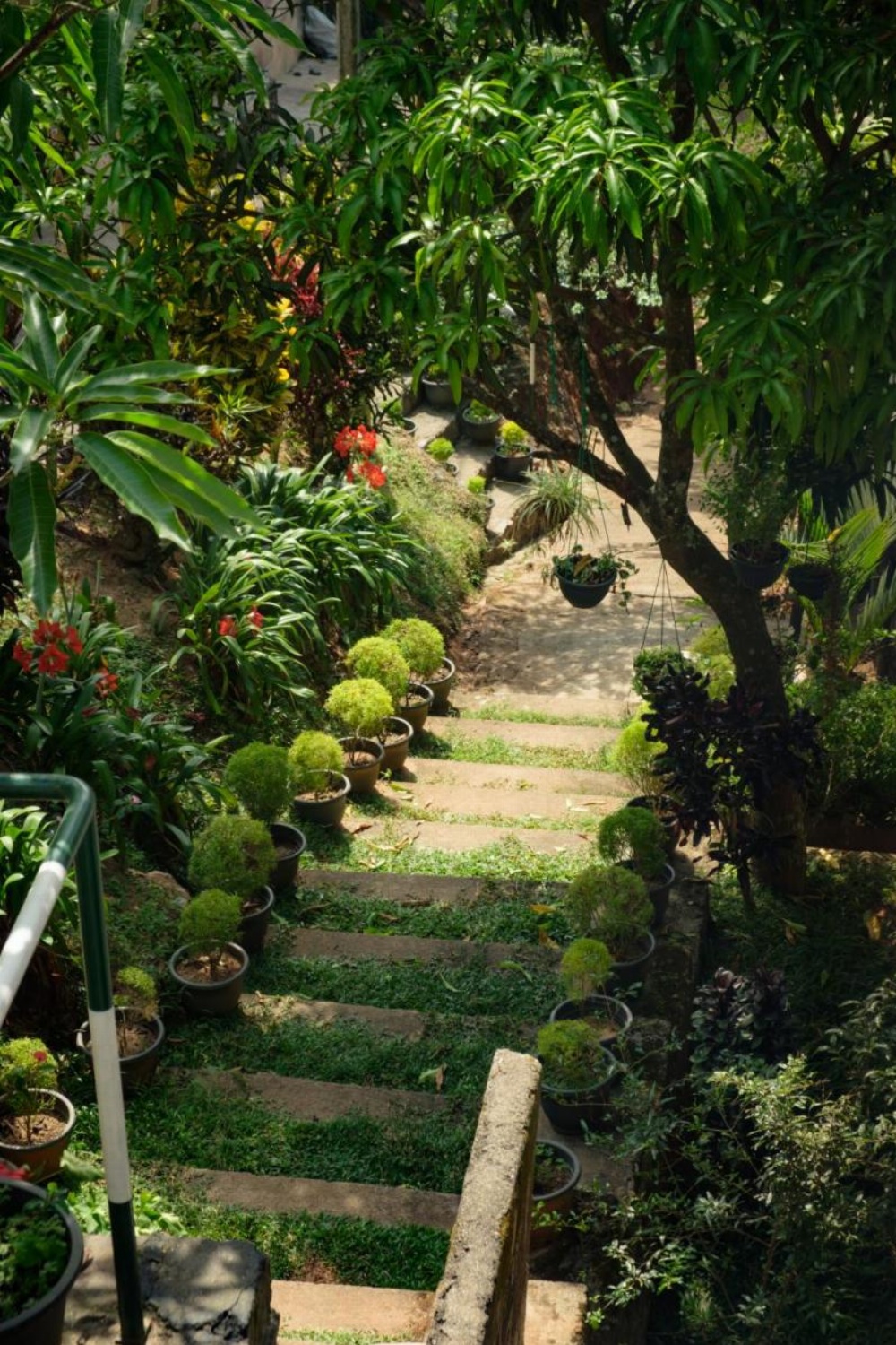 Kandy Mountain Cottage Image 14