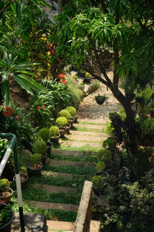 Kandy Mountain Cottage image 14