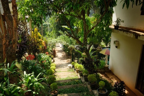 Kandy Mountain Cottage image 16