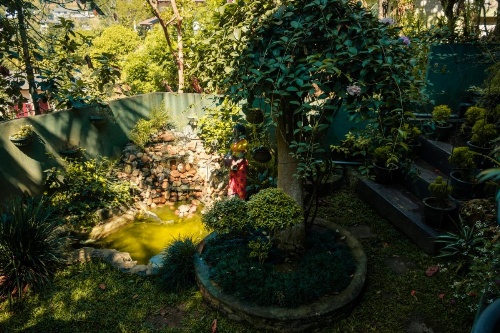 Kandy Mountain Cottage image 18