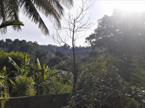Kandy Mountain Cottage image 19