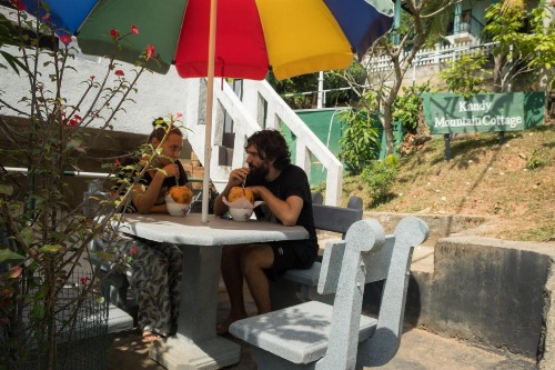 Kandy Mountain Cottage image 20