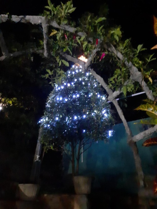Kandy Mountain Cottage image 3